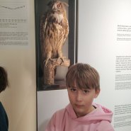 Přírodověda v muzeu